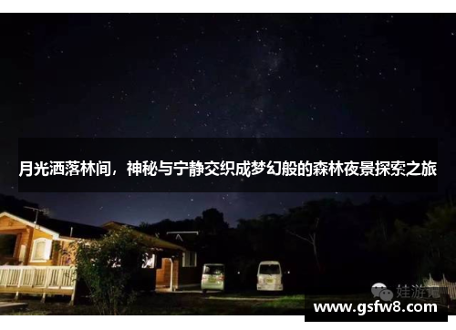 月光洒落林间，神秘与宁静交织成梦幻般的森林夜景探索之旅